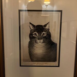 Meet your Posher, Ben